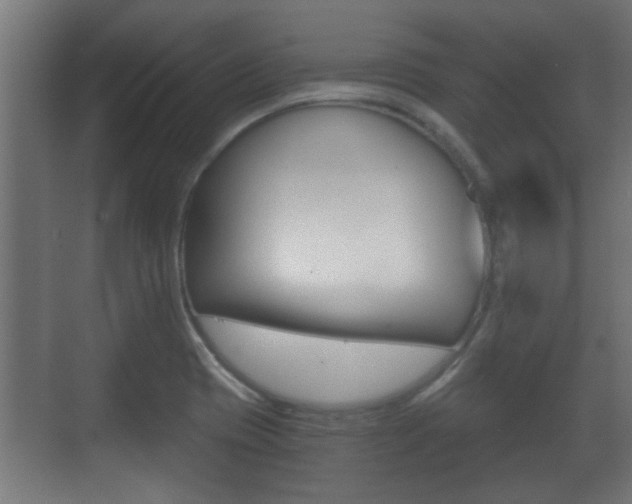 X0000071381417200606230902