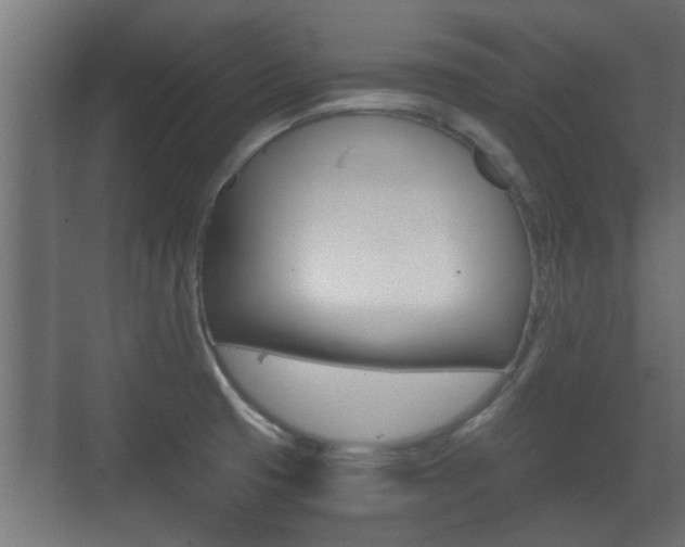 X0000071381425200606230902