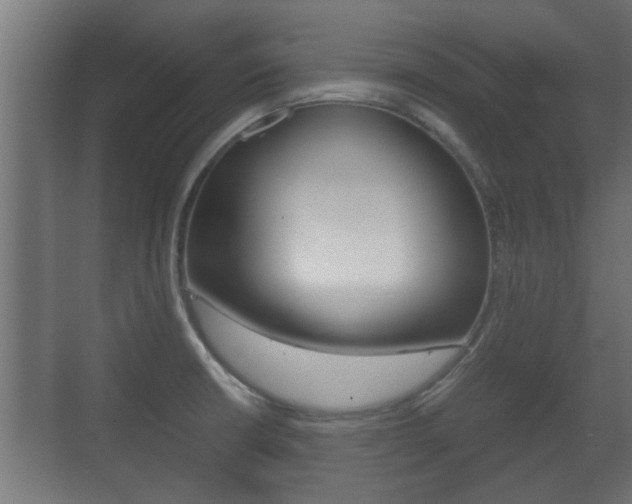 X0000071381426200606230902