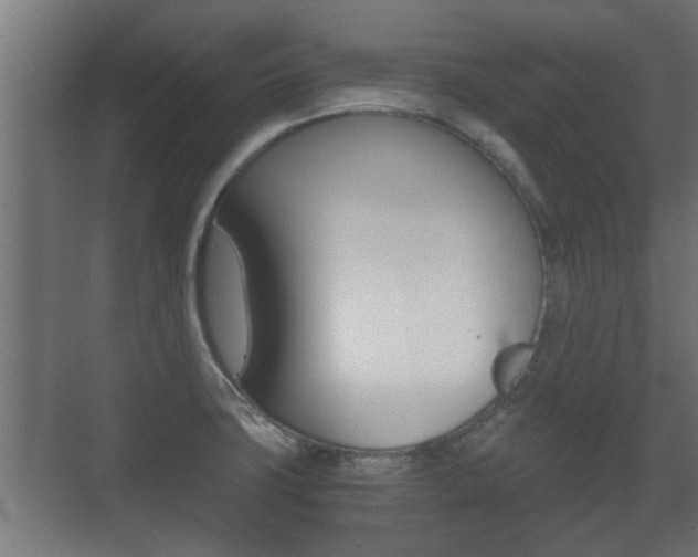 X0000071381427200606230902
