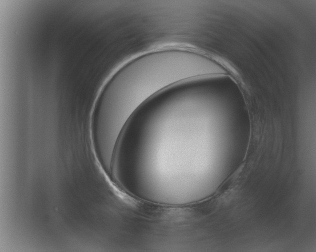 X0000071381430200606230902