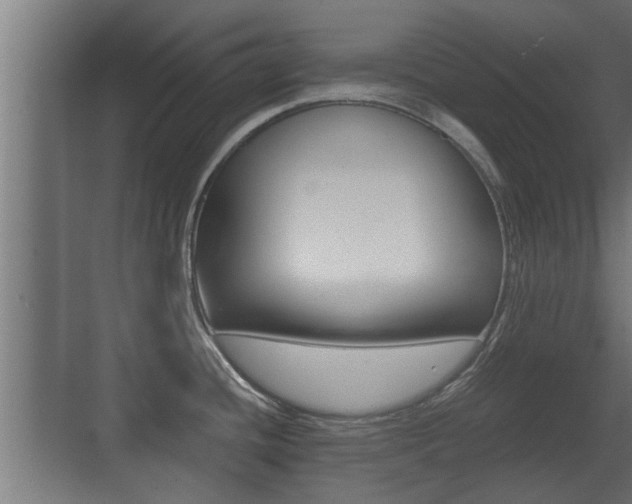 X0000071381436200606230902