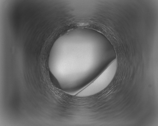 X0000071381441200606230902