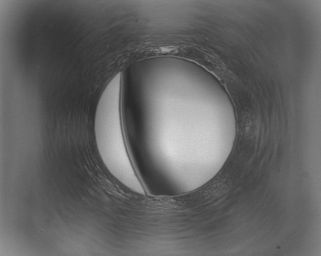X0000071381442200606230902