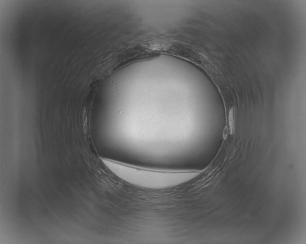 X0000071381443200606230902