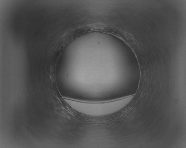 X0000071381445200606230902