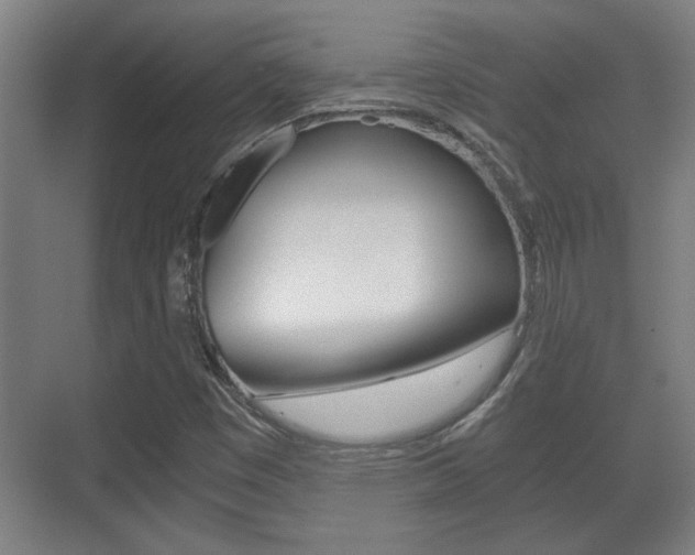 X0000071381449200606230901