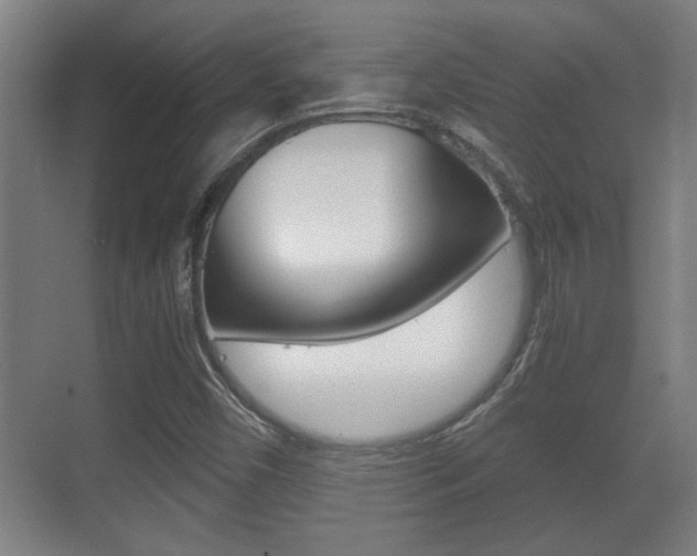X0000071381450200606230901