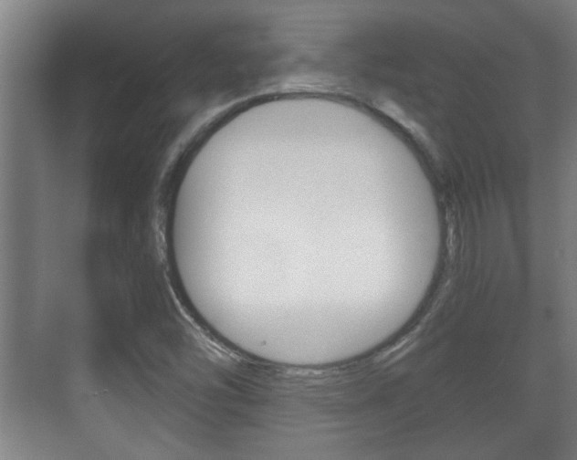 X0000071381454200606230901