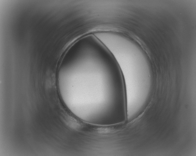 X0000071381465200606230901