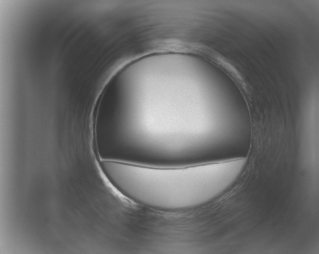 X0000071381479200606230901