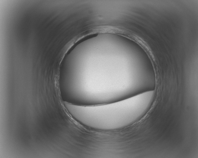X0000071381481200606230901