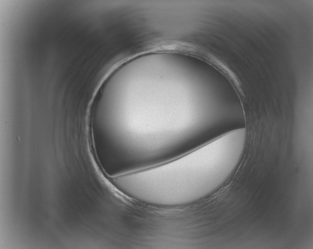 X0000071381483200606230901