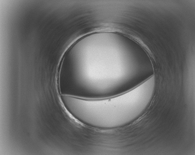 X0000071381484200606230901