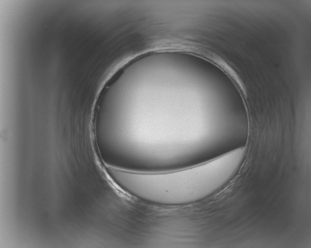 X0000071381485200606230901