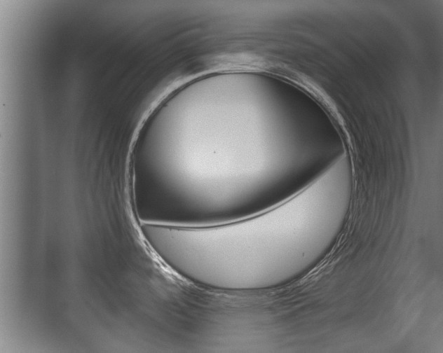 X0000071381488200606230901