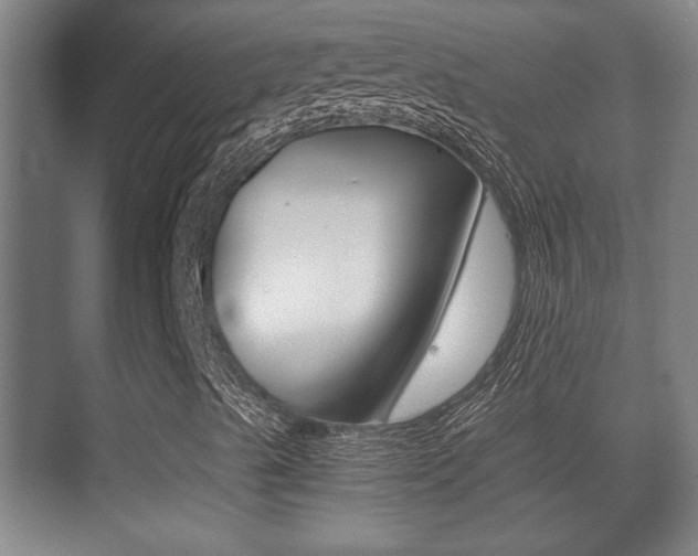 X0000071381489200606230900
