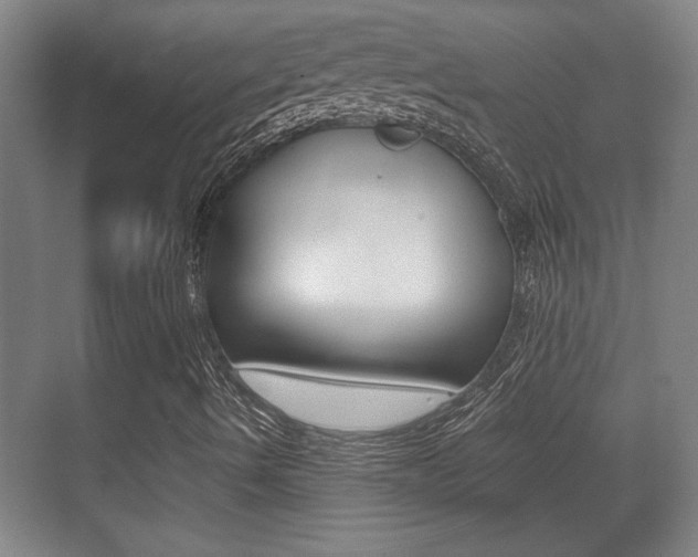 X0000071381490200606230900