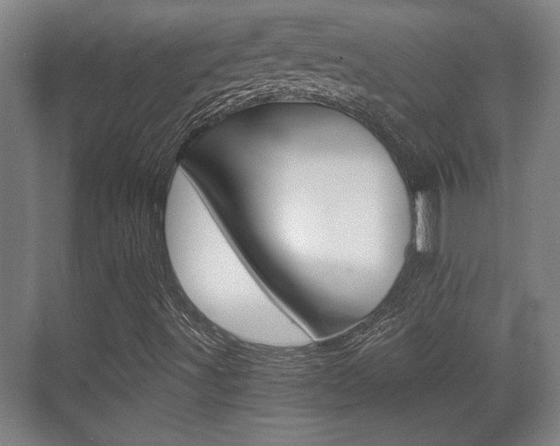 X0000071381491200606230900