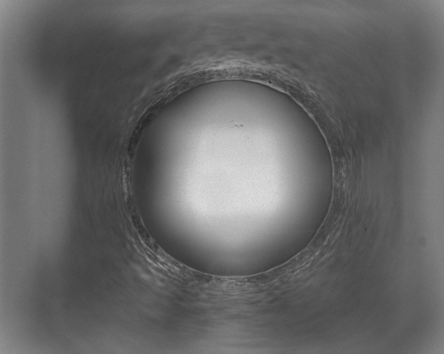X0000071381493200606230900