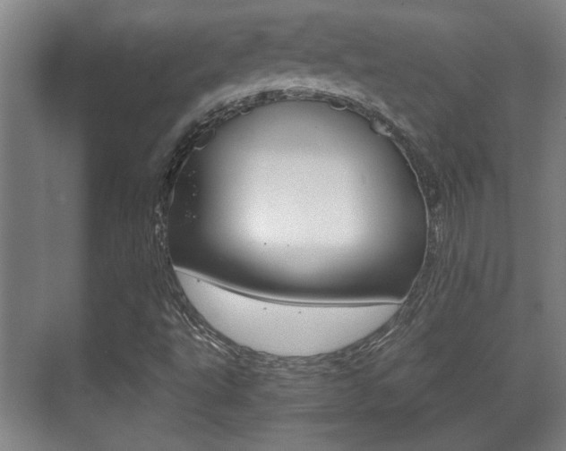X0000071381495200606230900
