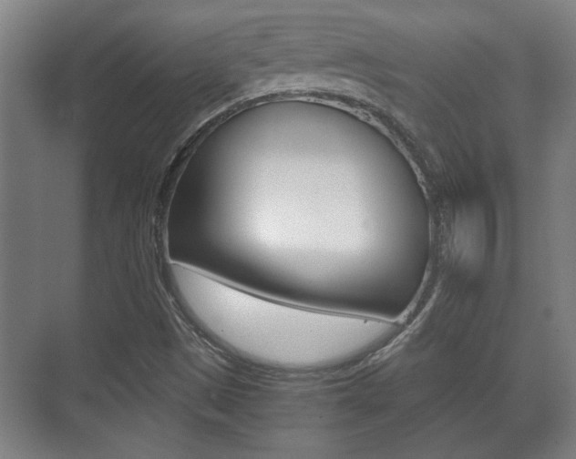 X0000071381497200606230900