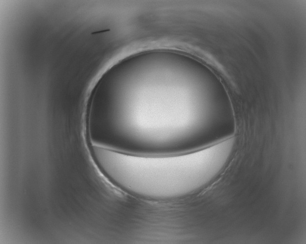 X0000071381512200606230900