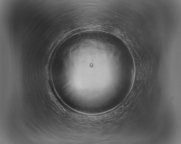 X0000071380002200606231258
