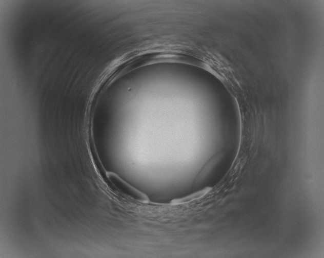 X0000071380003200606231258