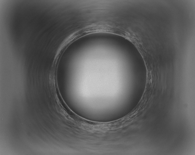 X0000071380004200606231258