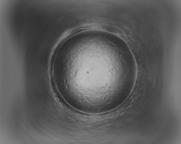 X0000071380006200606231258