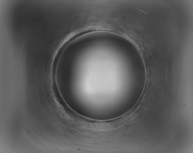 X0000071380008200606231258