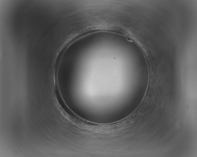 X0000071380011200606231258