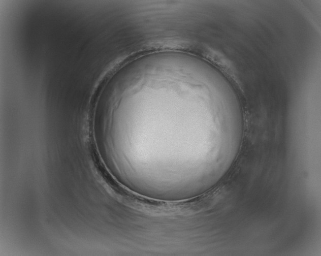 X0000071380012200606231258
