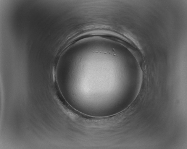 X0000071380013200606231258
