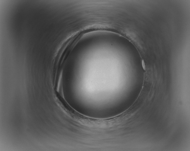 X0000071380015200606231258