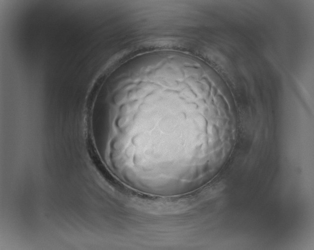 X0000071380016200606231258