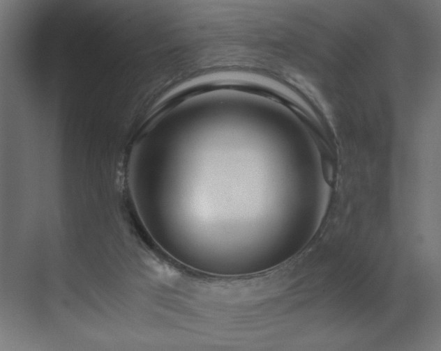 X0000071380017200606231257