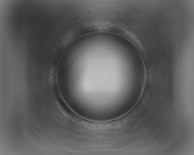X0000071380018200606231257