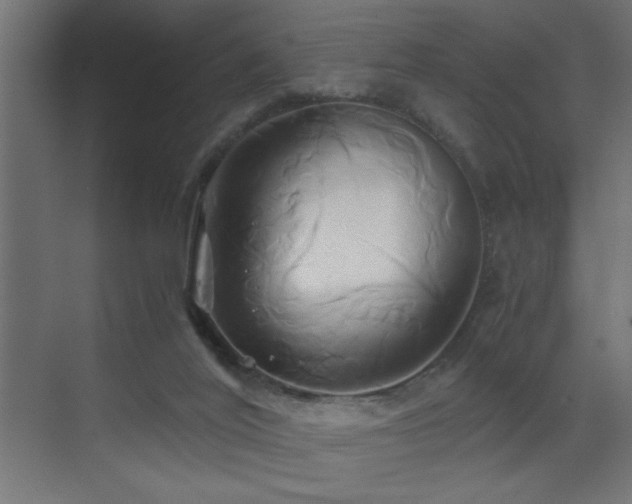 X0000071380020200606231257