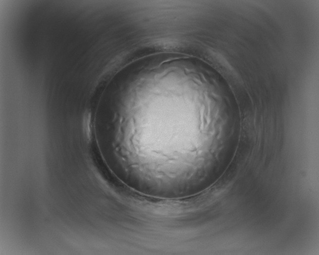 X0000071380024200606231257
