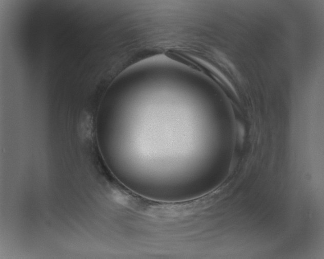 X0000071380025200606231257