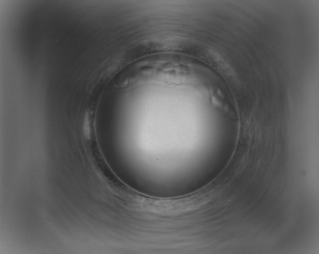 X0000071380026200606231257