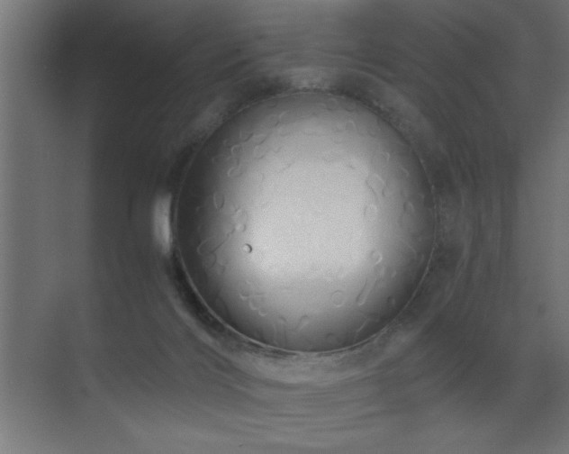 X0000071380028200606231257