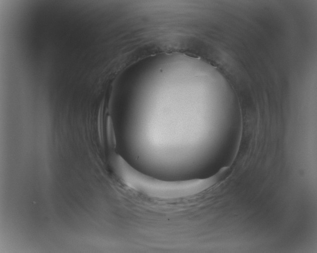 X0000071380029200606231257