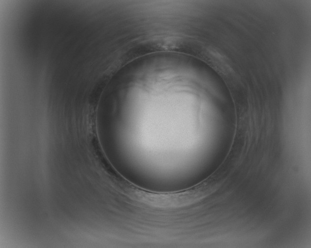 X0000071380030200606231257