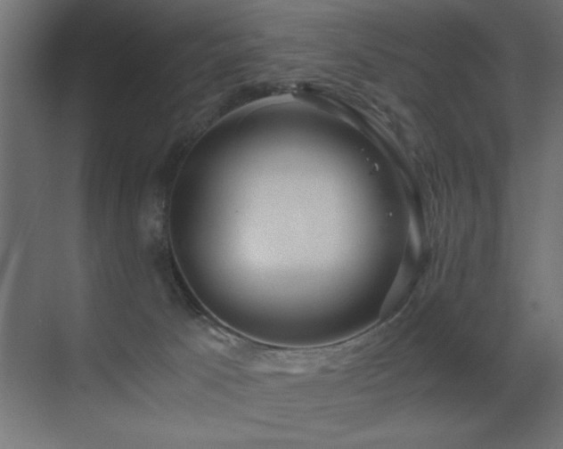 X0000071380033200606231257
