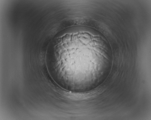 X0000071380034200606231257