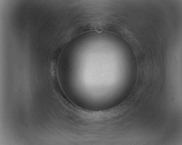X0000071380038200606231257