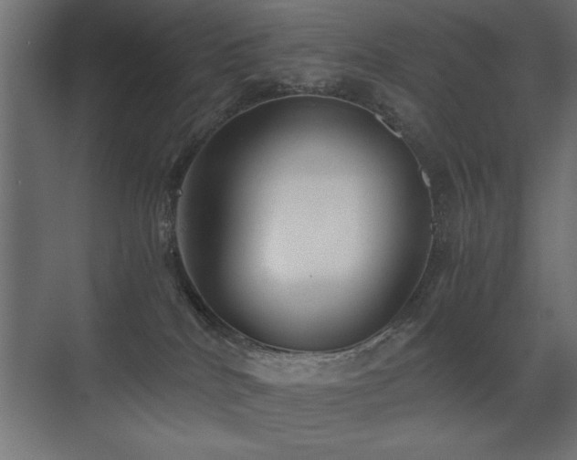 X0000071380040200606231257